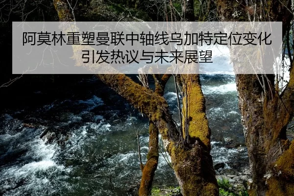 阿莫林重塑曼联中轴线乌加特定位变化引发热议与未来展望（HTH Sports）
