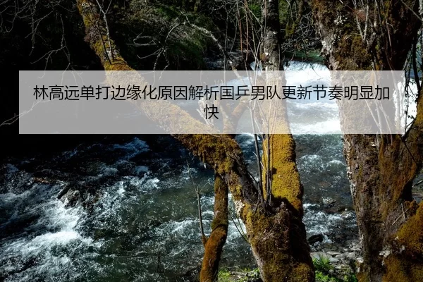 林高远单打边缘化原因解析国乒男队更新节奏明显加快（HTH Sports）
