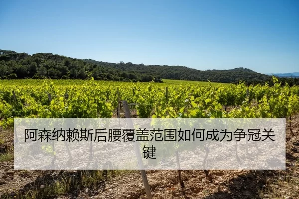 阿森纳赖斯后腰覆盖范围如何成为争冠关键