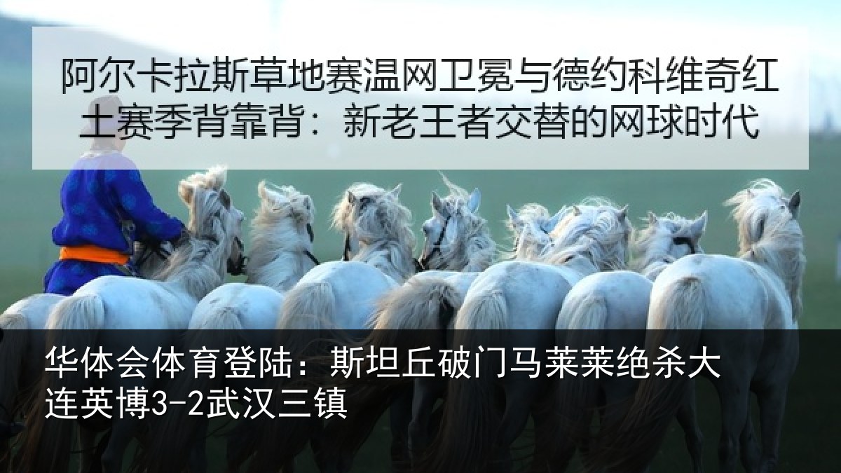 华体会体育登陆:斯坦丘破门马莱莱绝杀大连英博3-2武汉三镇