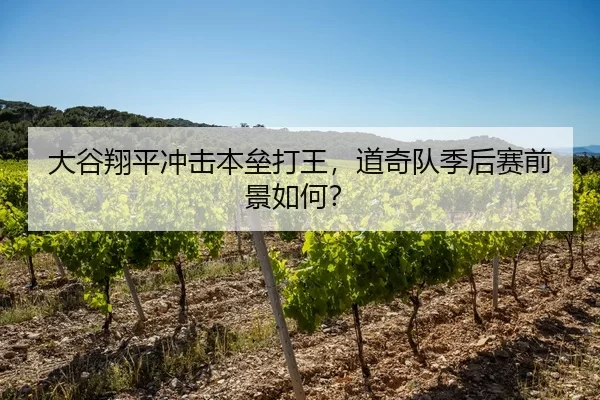 大谷翔平冲击本垒打王，道奇队季后赛前景如何？